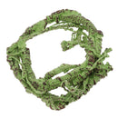 Bendable a Branch Ivy Vine Simulation Rattan Reptile Geckos 110cm/43.3inch for