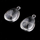 2x Water Drop Glass Natural Dried Flower Pendant Home Hanging Decoration 2cm