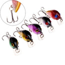 5 Pcs Topwater Wobbler Mini Fly Fishing Cranks Crankbait Lures Hard Baits Tackle