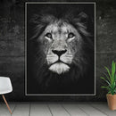 5D Diamond Embroidery Animal Lion Diy Diamond Painting Cross Stitch Full Sq