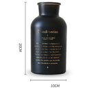 Nordic Black Glass Vases Hydroponics Plant Flower Home Decor for Artificial