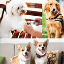 Dog Nail Grinder Professional 2-Speed Electric Rechargeable Pet Nail Trimme
