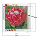 5D DIY Diamond Painting Flower Full Round Drill Embroidery Wall Art (QF312)