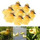 8 Pack Baby Duckings Floating Decoy Ducks Plastic Ornament Fish Pond Koi Fish