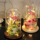 Glass Display Dome Cloche Bell Jar With Wooden Base for DIY Decor_Black E