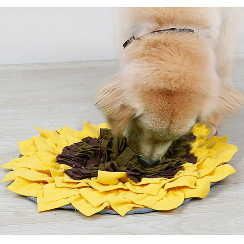 Sniffing Carpet Dog Sniffing Mat Sniffing Meadow ÃƒËœ 48 Cm