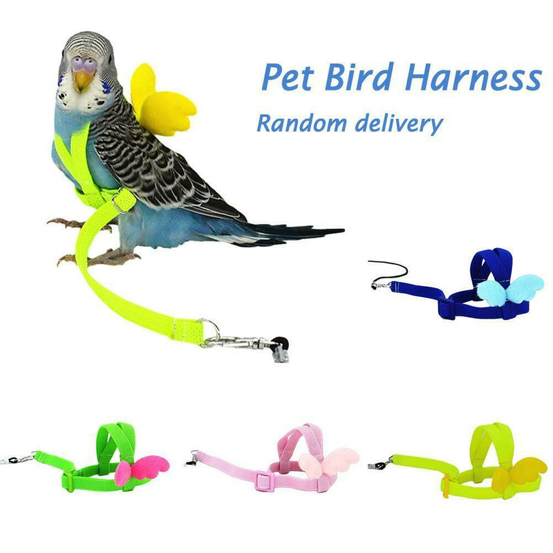 Parrot Bird Leash Adjustable Harness Pets Anti Flying Outdoor Training Rope NEW