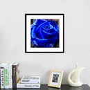 5D Full Drill Diamond Rose Painting DIY Cross Stitch Kit Home Decor Gifts