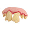 Denture teeth prom Halloween dress witch dress funny buck-toothed dentures #gib
