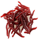 50 Pcs Soft Red Earthworm Fishing Bait Worm Lures Crankbaits Hooks Tackle Baits
