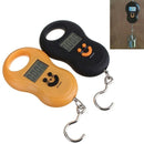 50Kg /10G Mini Digital Hanging Scale for Fishing Luggage Travel Weighting S