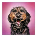 5D DIY Full Round Drill Diamond Painting Dog Cross Stitch Embroidery Kit