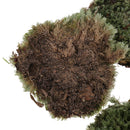 Layout Green Lichen Moss For TRain Railway Diorama Architecture Build Toys