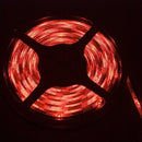 LED Strip 5M 300 3528 SMD RGB Remote Control Waterproof Decoration Strip Li