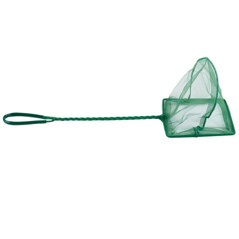 Nylon Aquarium Fish Shrimp Net Meshy, 6-inch, Green