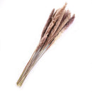 Wholesale 15pcs Natural Dried Pampas Grass Reed Flower Bunch Home Wedding NEW