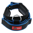 Pet Dog Collar Neck Belt with Adjustable Strap Dog Cat Pet Accessories Blue