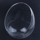 Creatively Glass Small Garden Cloche Plant Flower Cover Home Desktop Decora