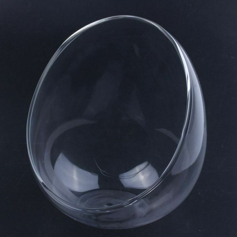 Creatively Glass Small Garden Cloche Plant Flower Cover Home Desktop Decora