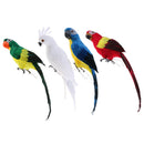 Set of 4 Feathered Realistic Parrot Home Garden Birds Decor Ornament