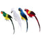 Set of 4 Feathered Realistic Parrot Home Garden Birds Decor Ornament