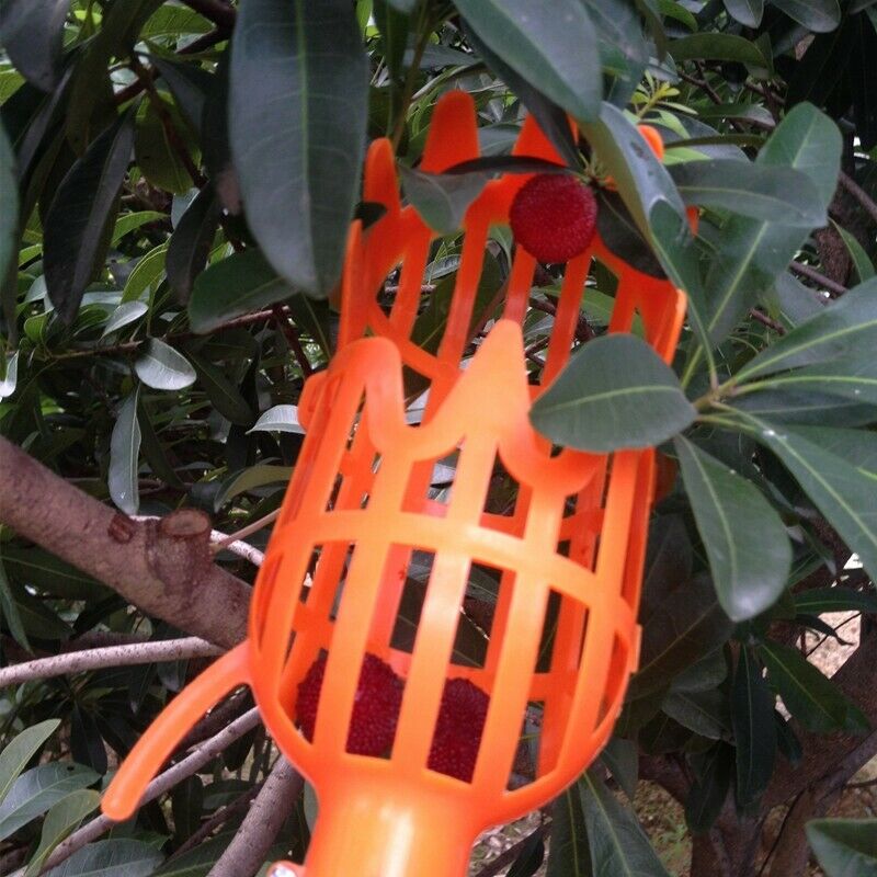 High Altitude Fruit Picker No pole 1Piece Plastic Picker without Pole Fruit