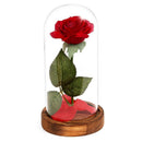Eternal Rose Flower Red Silk Rose and LED Light with Fallen Petals in Glass