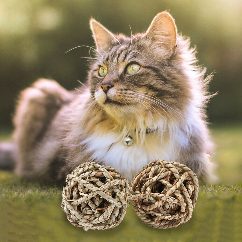 Pet Supplies Small Animal Chew Braid Grass Ball Toys for Rabbits Hamster