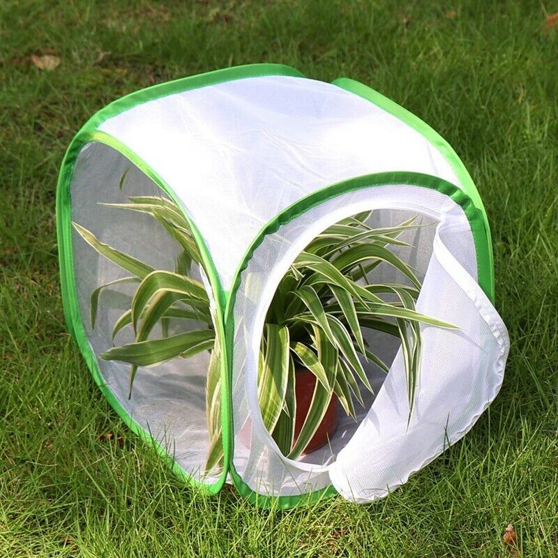 Insect and Butterfly Habitat Cage Terrarium Pop-up 12 x 12 x 12 Inches (Whi Z9H2
