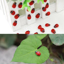 100Pcs Mini Ladybird Wooden Multi-Color Ladybugs Micro Landscape Decor Mixed