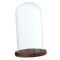 Glass Landscape Flower LED Light Ornament Cover Dome Display Stand _Brown D