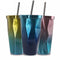 Stainless Steel Tumbler with Straw - Hot and Cold Double Wall Drinking Cups S2I2