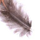 50pcs/set pheasant feathers 4-8cm chicken plumes for carnival diy craft de BX