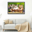 5D DIY Full Drill Diamond Painting Lovely Cats Cross Stitch Embroidery Kits