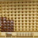 120pcs Bee Cell Cups Queen Rearing System Beekeeping Tool Cultivating Box