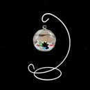Glass Flowers Plant Vase Pot Hydroponic Terrarium Holder +23cm Metal Stand