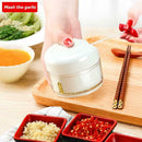 Stainless Steel Garlic Press Ginger Grinding Vegetable Cutter Kitchen Tool