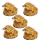 5 Pieces Feng Shui Money Frog Lucky Frog Lucky Charm Lucky Frog Toad Coin