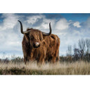 5D Diy Diamond "Highland Cow"Diamond Embroidery Sale Diamond Painting Cross E7J9
