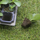 200Cells Seedling GrowingCases Germination Plant Propagation NurserySeed Tray -Q