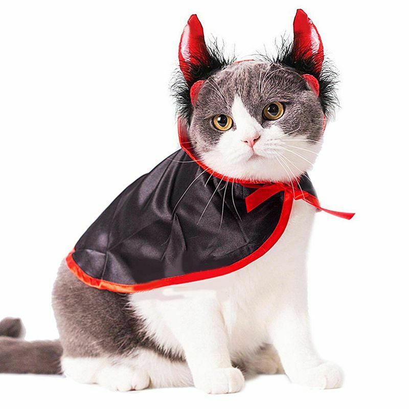 Cat Costume Christmas Pet Costumes cat cape& hat Pet Cape Cat Halloween Cos