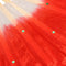 Chinese Folk Art Silk Veil Bamboo Short Dancing Red Fan for Belly Dance