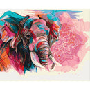 Painting By Numbers Kit DIY Color Elephant Canvas Oil Art Picture Craft