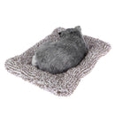 Sleeping Dog Bamboo Charcoal Bag Deodorant Car Interior Air Freshener Decor