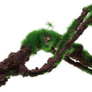 Repitals Climbing Jungle Vine Natural Habitat Decor for  Geckos M