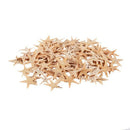 Small Starfish Star Sea Shell Beach Craft 0.4 inch-1.2 inch 90 Pcs