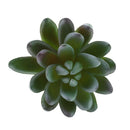 Artificial Cactus Plants Unpotted Plastic Succulent Cactus Home Plant