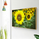 Sunflower 5D DIY Full Round Drill Diamond Painting Mosaic Beadwork (A919)