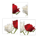 Red and White Rose Flowers Print on Canvas Modern Artwork for Wall Decor