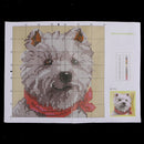 DIY Latch Hook Rug Kit for Children Learn Latch Hooking Tie Dog Pillowcase